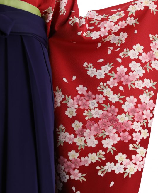 卒業式袴レンタルNo.613[Lサイズ]赤地にピンク桜・王道古典柄
